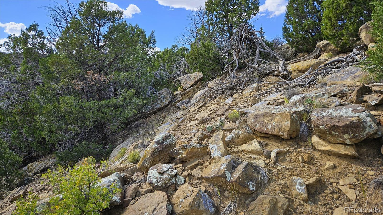 776 Rio Cucharas Walsenburg CO 81089