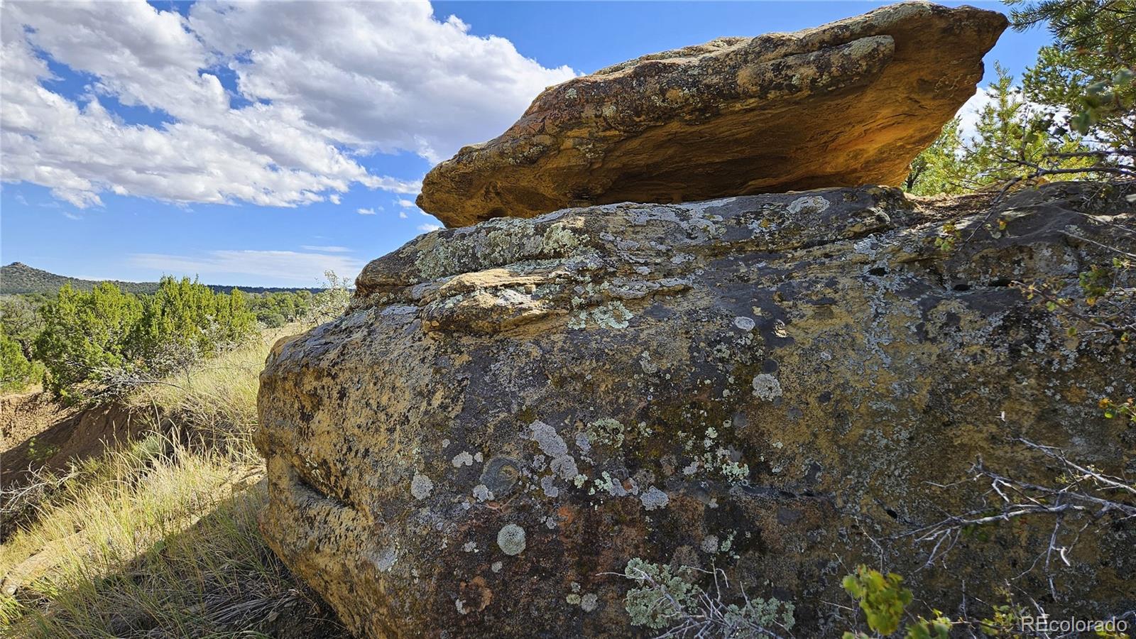 776 Rio Cucharas Walsenburg CO 81089