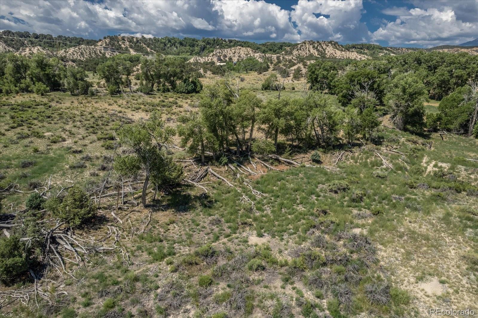 000 County Road 165 Salida CO 81201