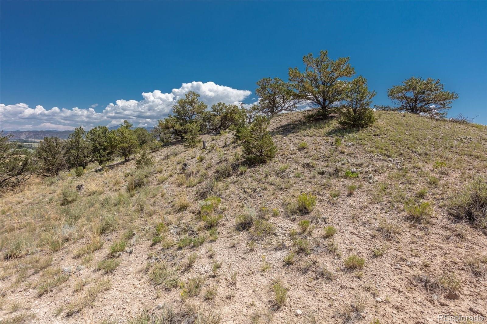 000 County Road 165 Salida CO 81201