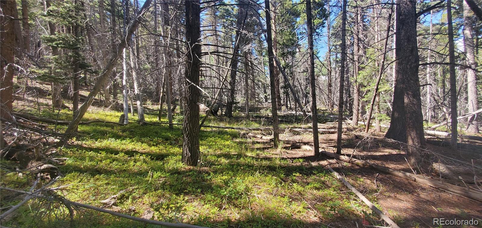 Lot 3427 Grojean Drive Fort Garland CO 81133