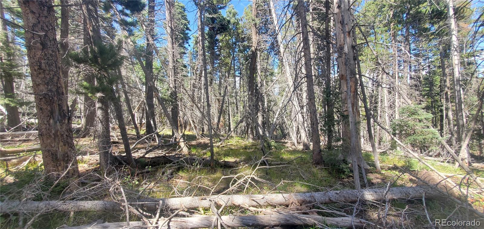 Lot 3427 Grojean Drive Fort Garland CO 81133