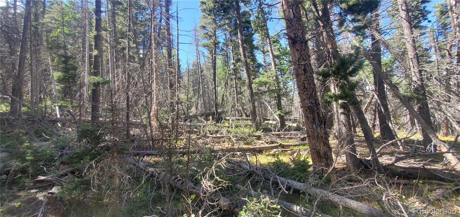 Lot 3427 Grojean Drive Fort Garland CO 81133