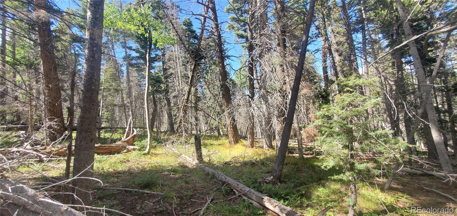 Lot 3427 Grojean Drive Fort Garland CO 81133