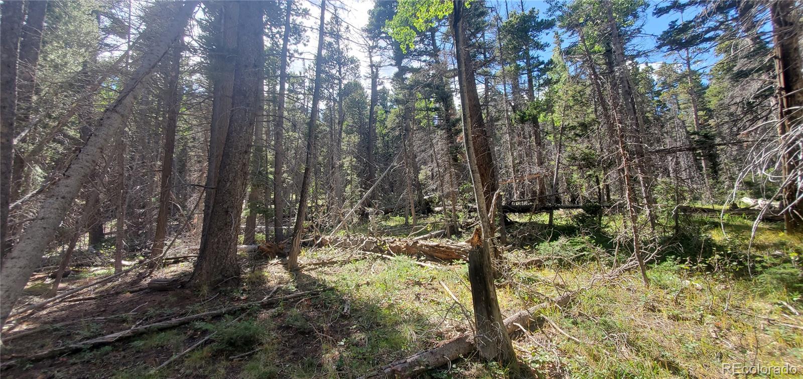 Lot 3427 Grojean Drive Fort Garland CO 81133