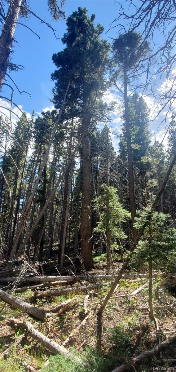 Lot 3427 Grojean Drive Fort Garland CO 81133