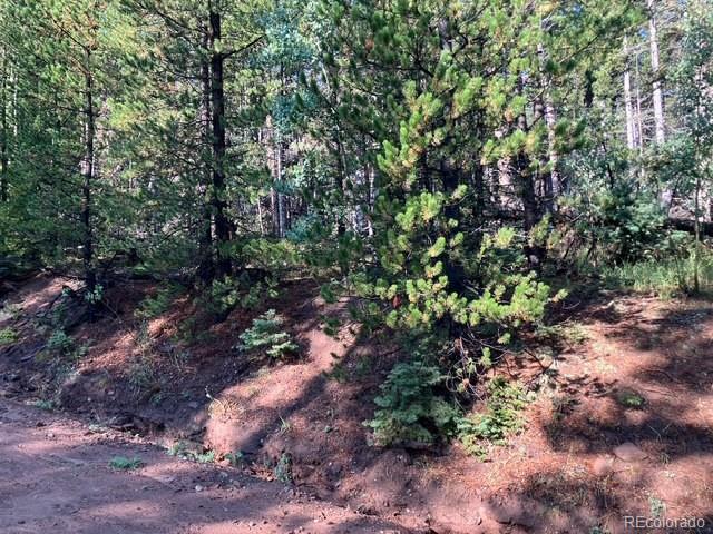 Lot 3427 Grojean Drive Fort Garland CO 81133