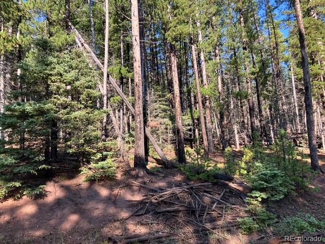 Lot 3427 Grojean Drive Fort Garland CO 81133