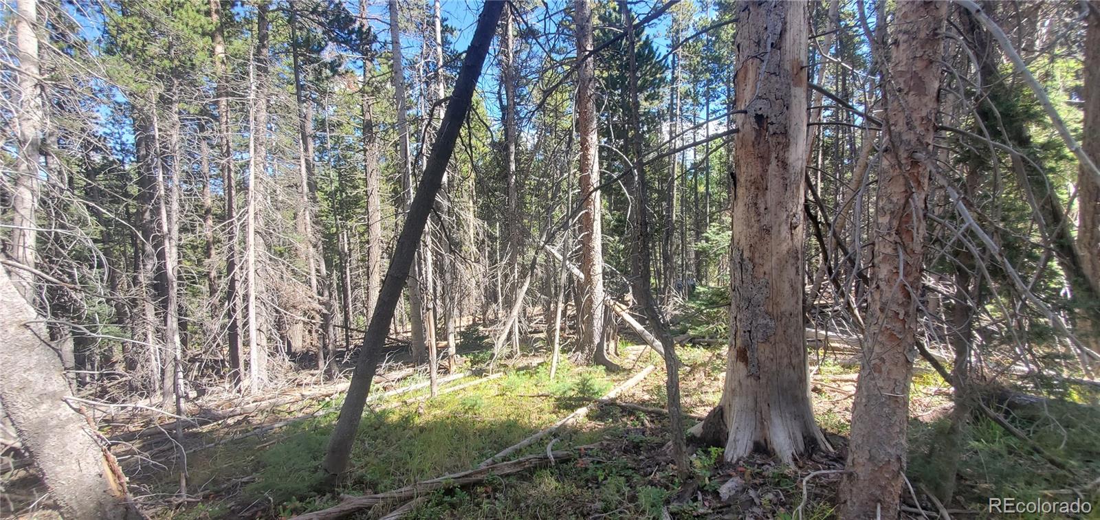 Lot 3427 Grojean Drive Fort Garland CO 81133