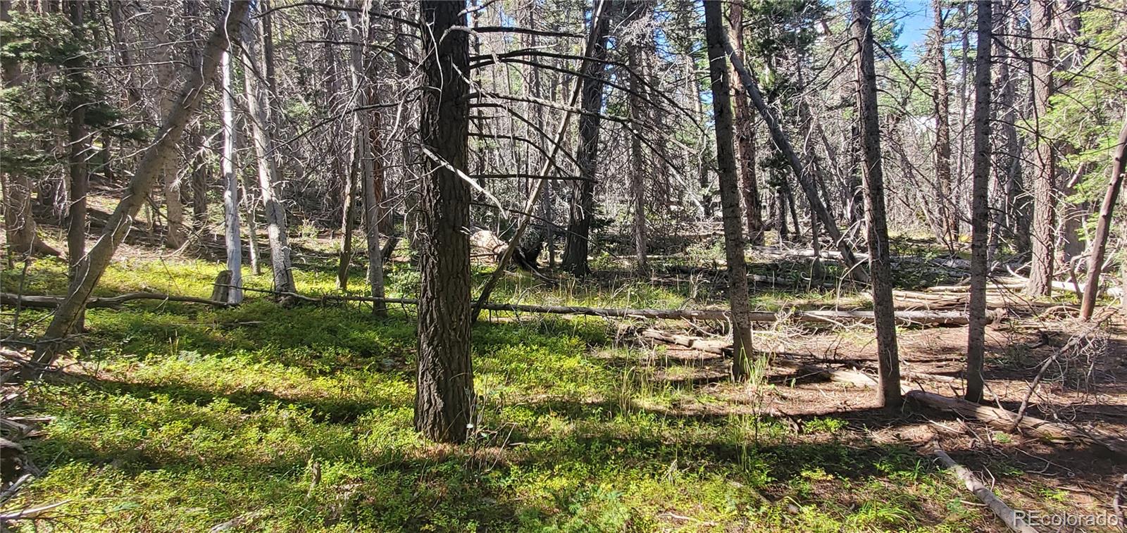 Lot 3427 Grojean Drive Fort Garland CO 81133