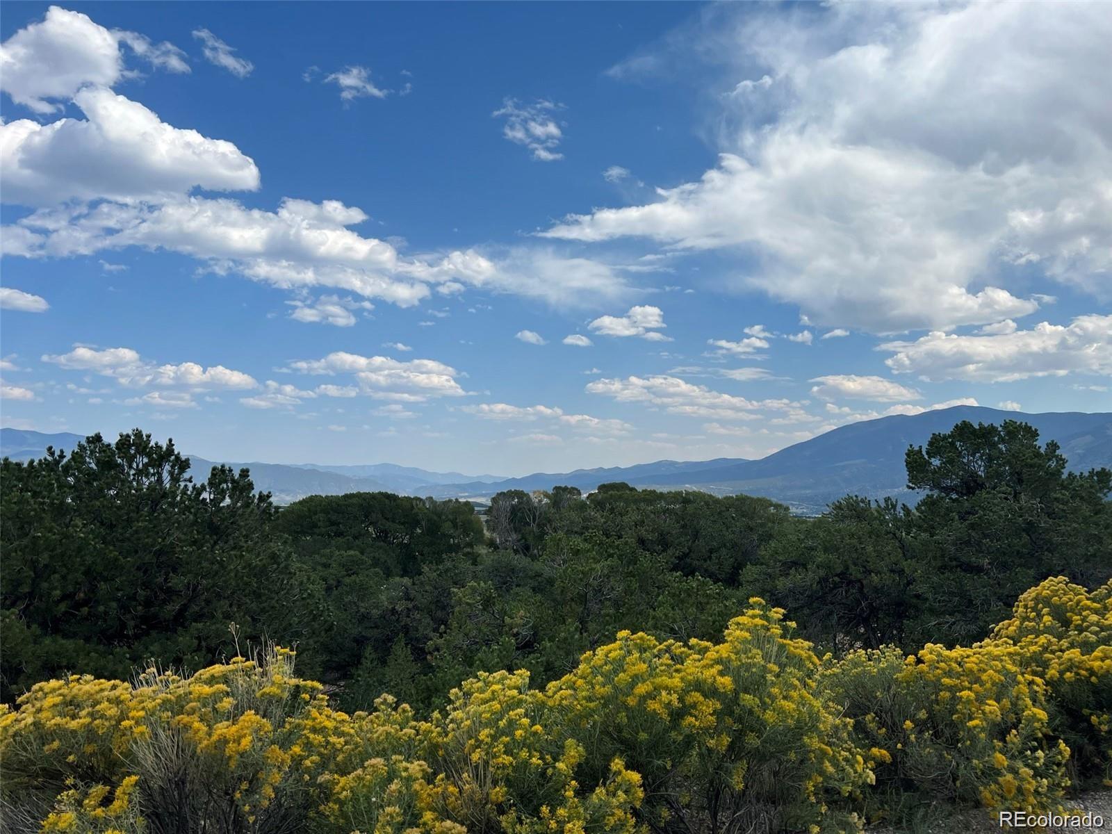 12240 Saddle Ridge Lane Salida CO 81201