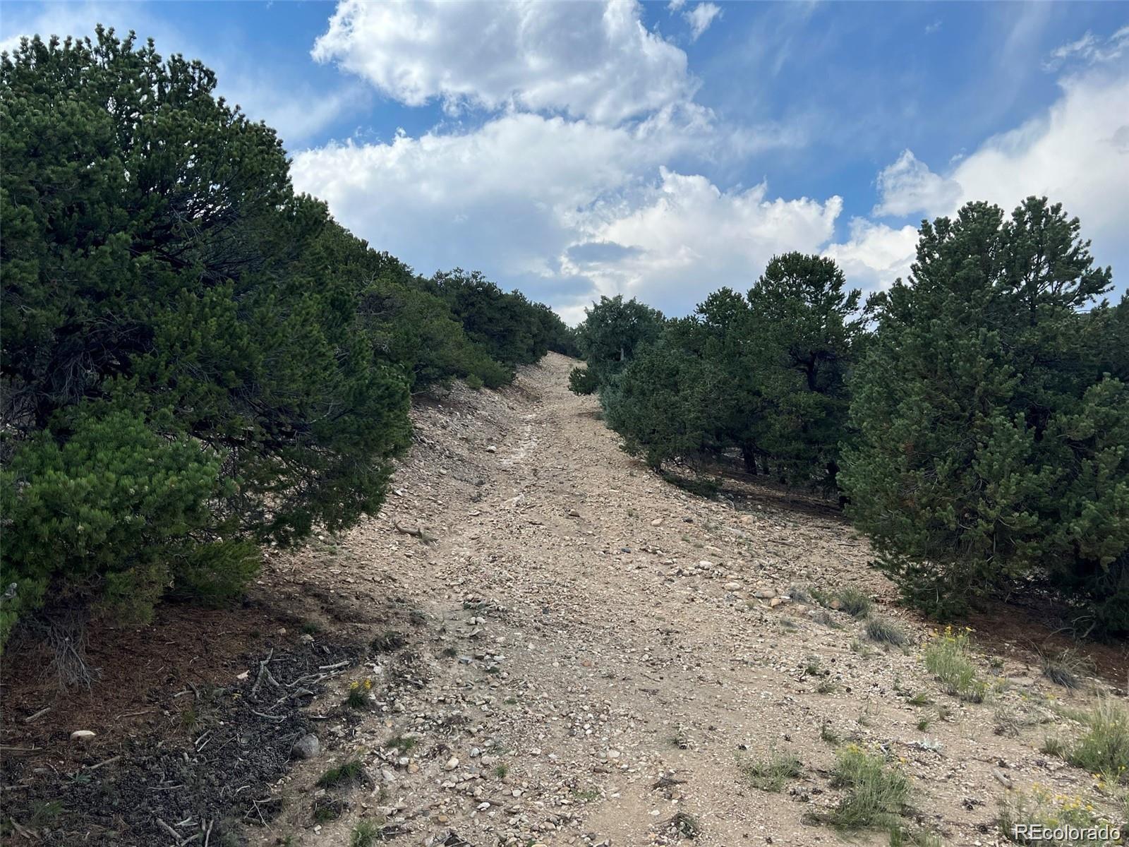 12240 Saddle Ridge Lane Salida CO 81201