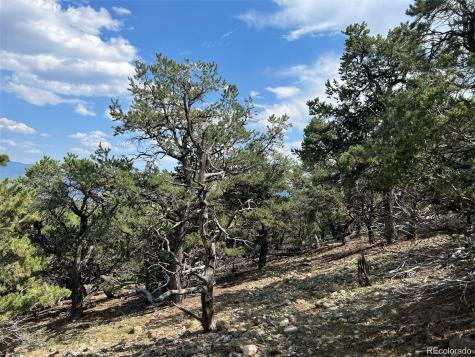 12240 Saddle Ridge Lane Salida CO 81201