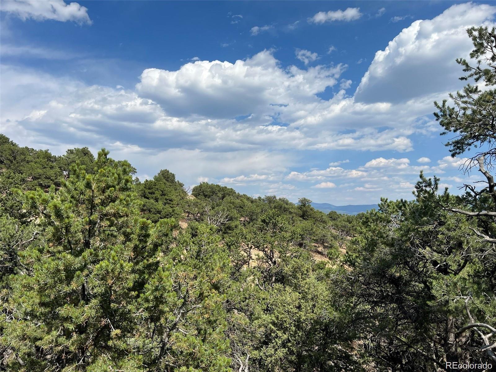 12240 Saddle Ridge Lane Salida CO 81201