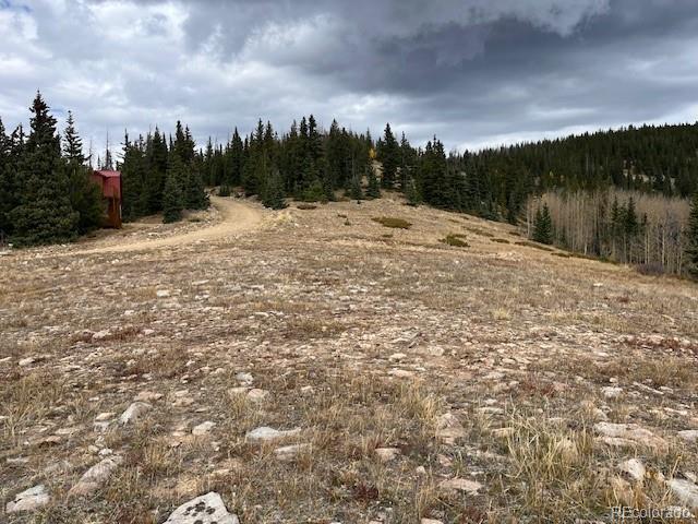 Lot 6557 Schlueter Road San Luis CO 81152