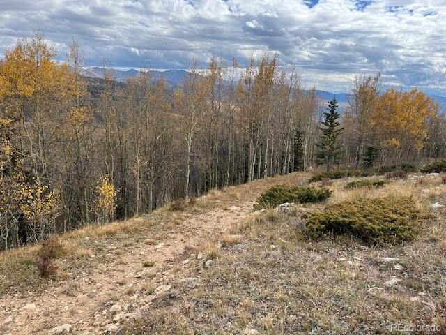 Lot 6557 Schlueter Road San Luis CO 81152