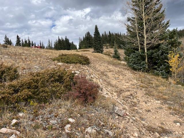 Lot 6557 Schlueter Road San Luis CO 81152