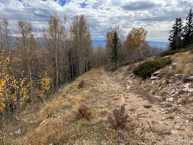 Lot 6557 Schlueter Road San Luis CO 81152
