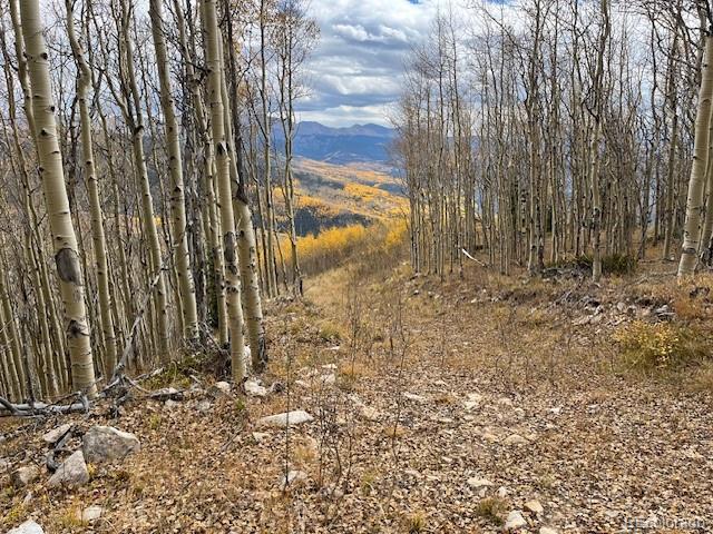 Lot 6557 Schlueter Road San Luis CO 81152