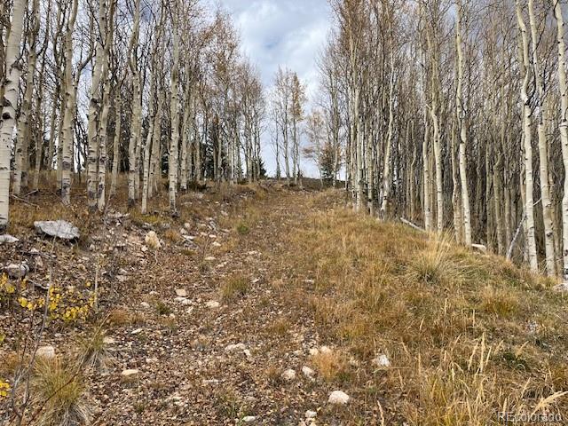 Lot 6557 Schlueter Road San Luis CO 81152