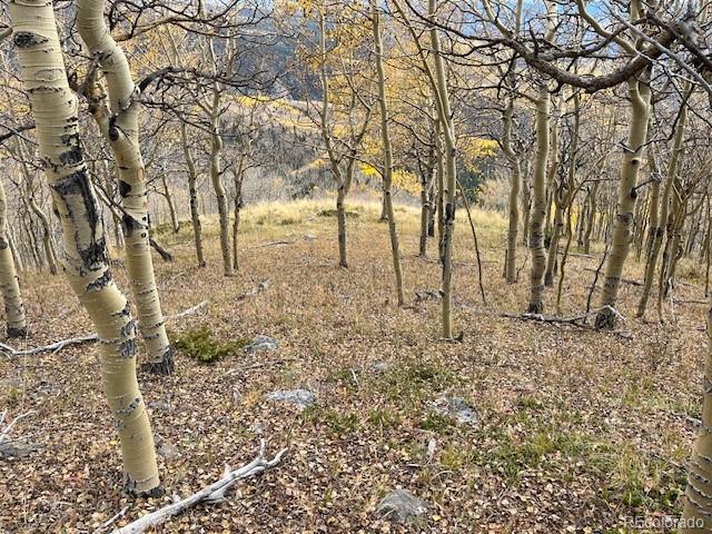 Lot 6557 Schlueter Road San Luis CO 81152