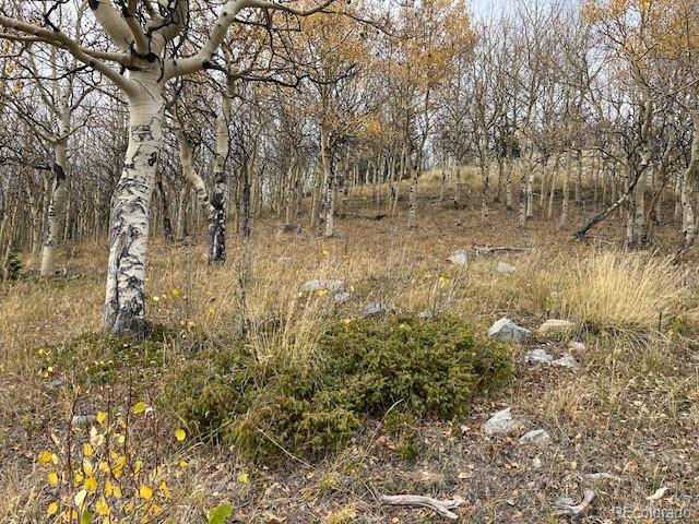 Lot 6557 Schlueter Road San Luis CO 81152