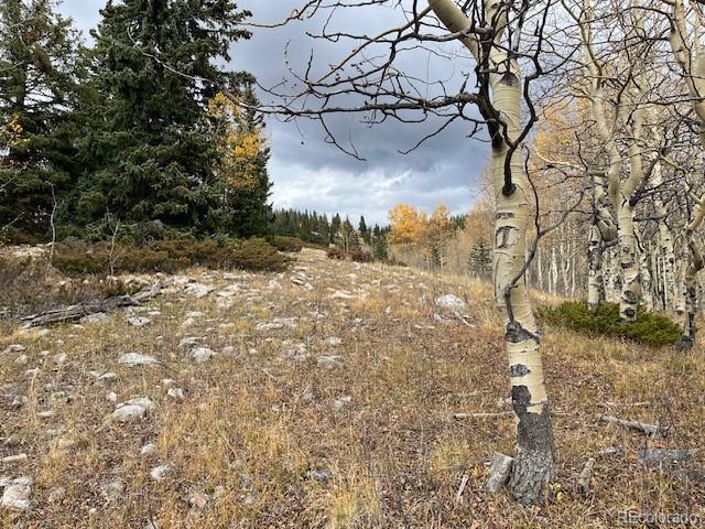 Lot 6557 Schlueter Road San Luis CO 81152