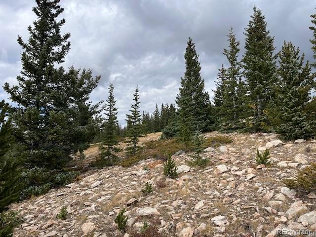 Lot 6557 Schlueter Road San Luis CO 81152