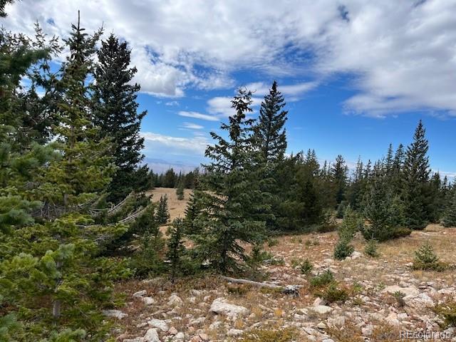 Lot 6557 Schlueter Road San Luis CO 81152