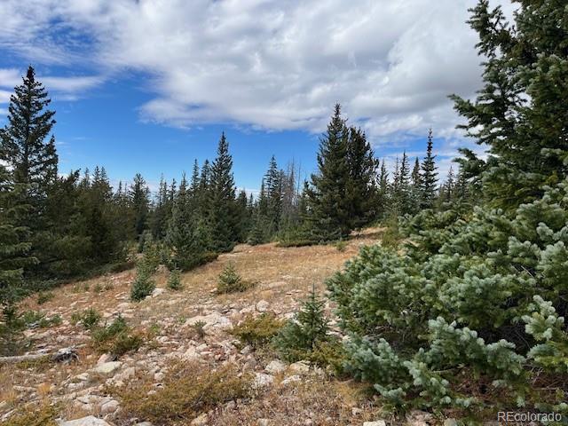 Lot 6557 Schlueter Road San Luis CO 81152