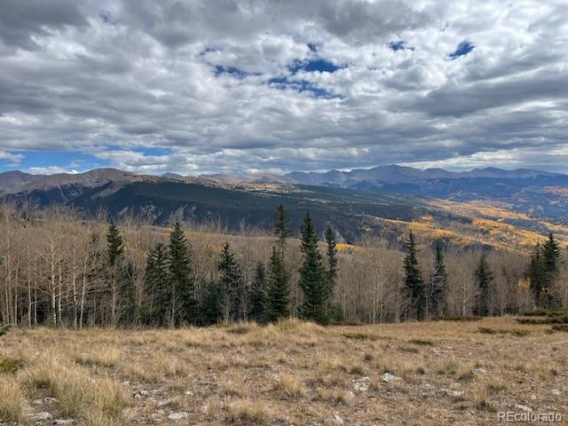 Lot 6557 Schlueter Road San Luis CO 81152
