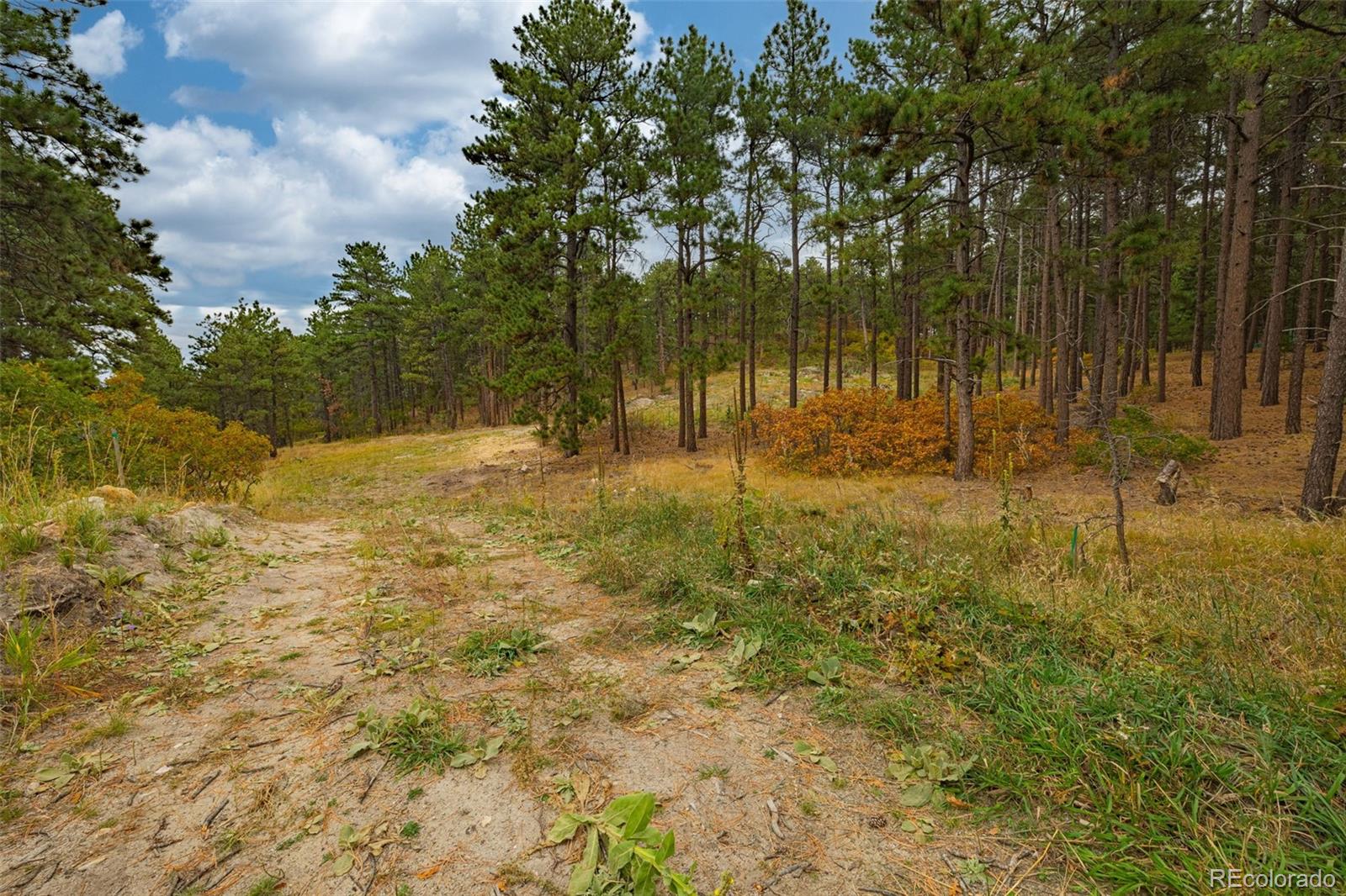 14420 S Perry Park Road Larkspur CO 80118