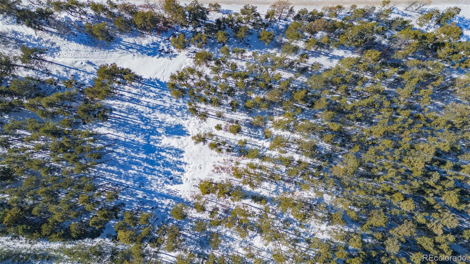 14420 S Perry Park Road Larkspur CO 80118