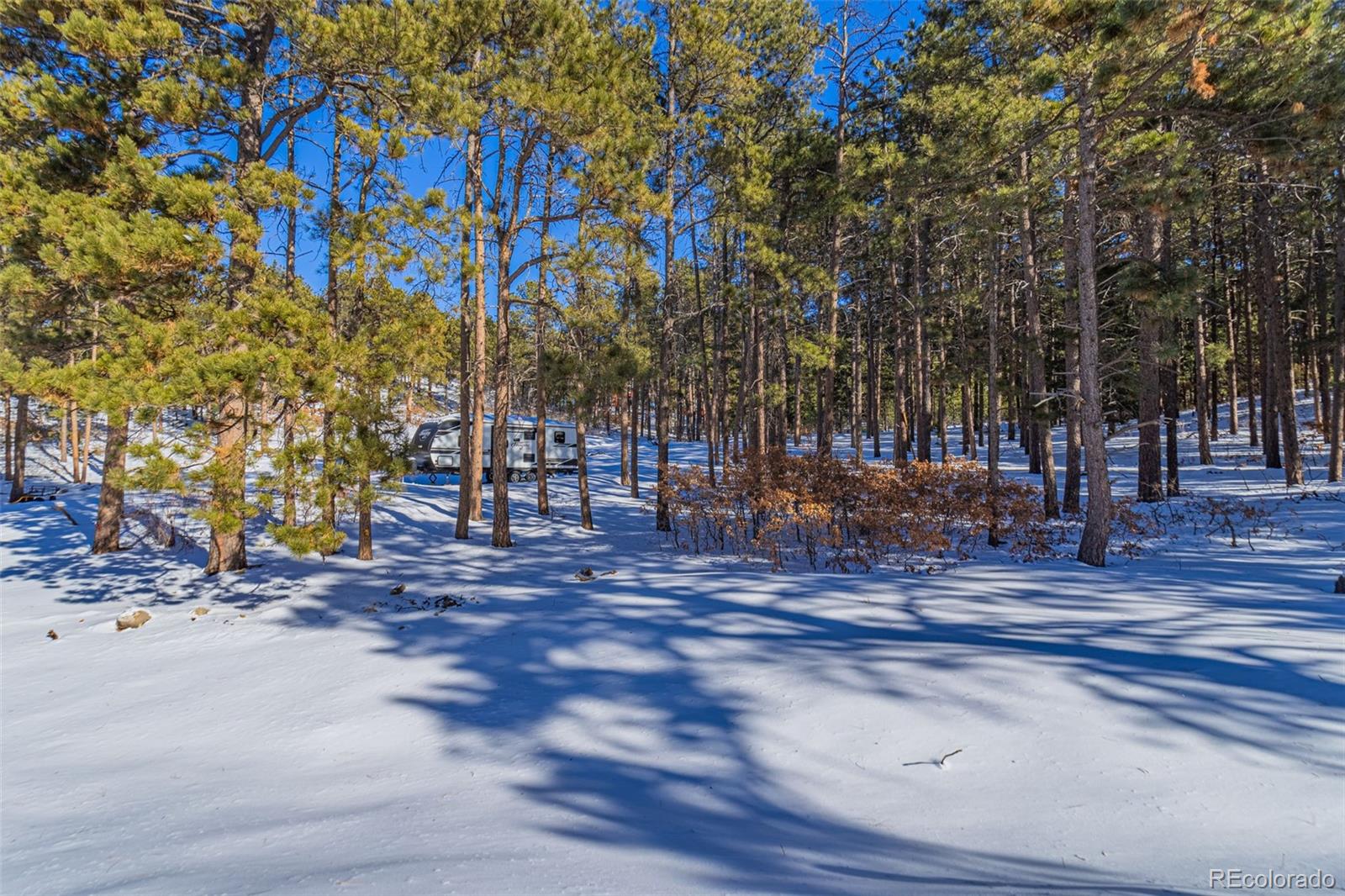 14420 S Perry Park Road Larkspur CO 80118