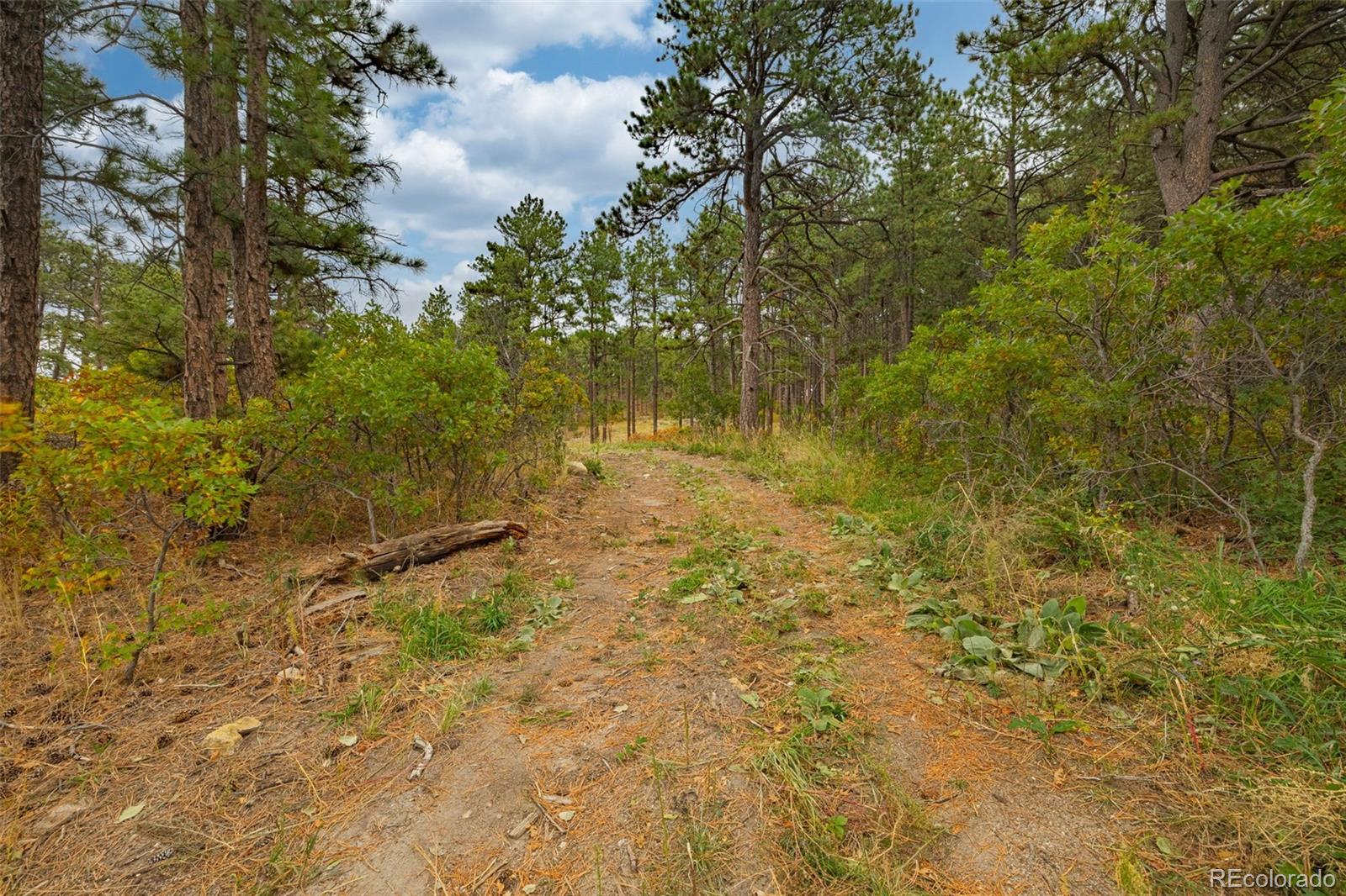 14420 S Perry Park Road Larkspur CO 80118