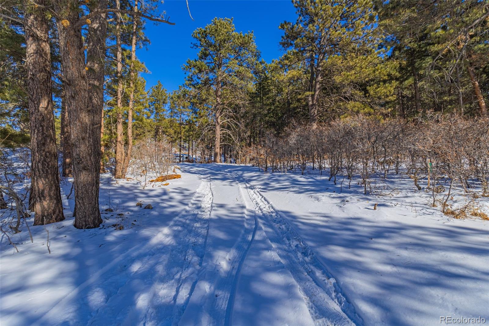 14420 S Perry Park Road Larkspur CO 80118