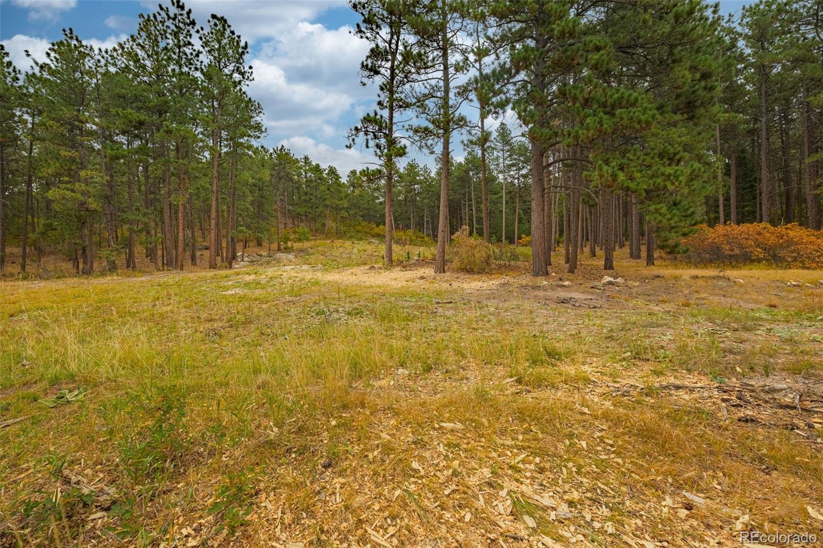 14420 S Perry Park Road Larkspur CO 80118