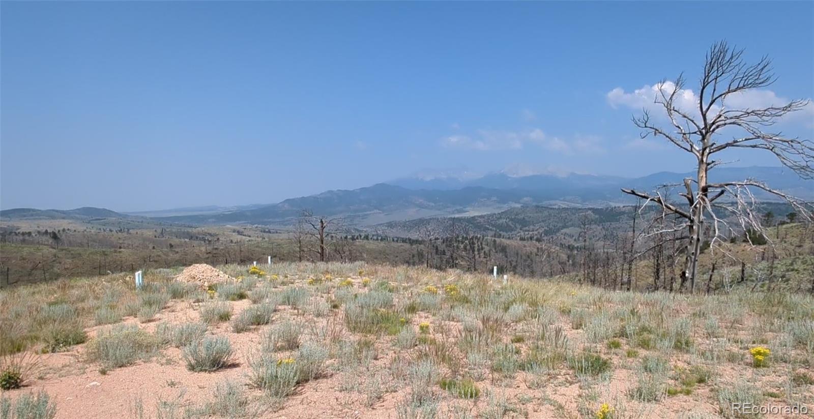 3772 Soubry Place Fort Garland CO 81133