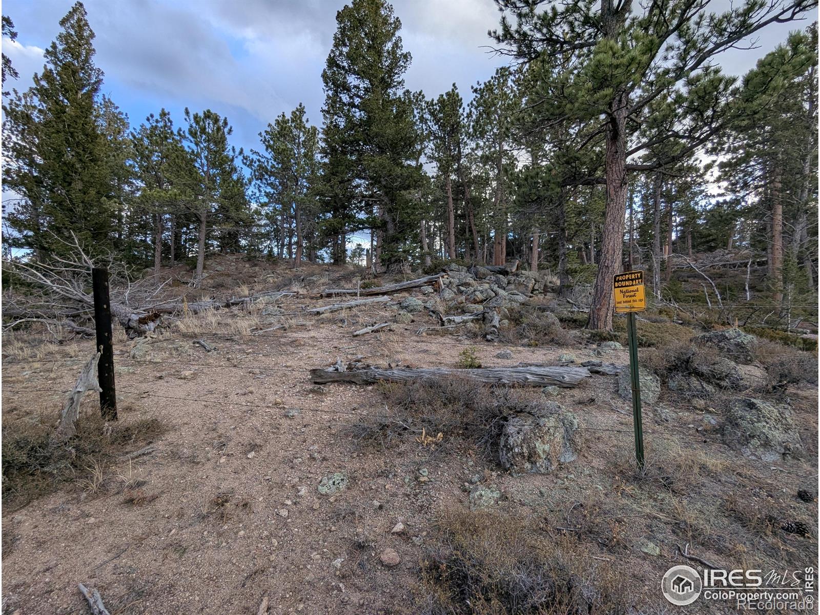 29 Santa Clara Court Red Feather Lakes CO 80545