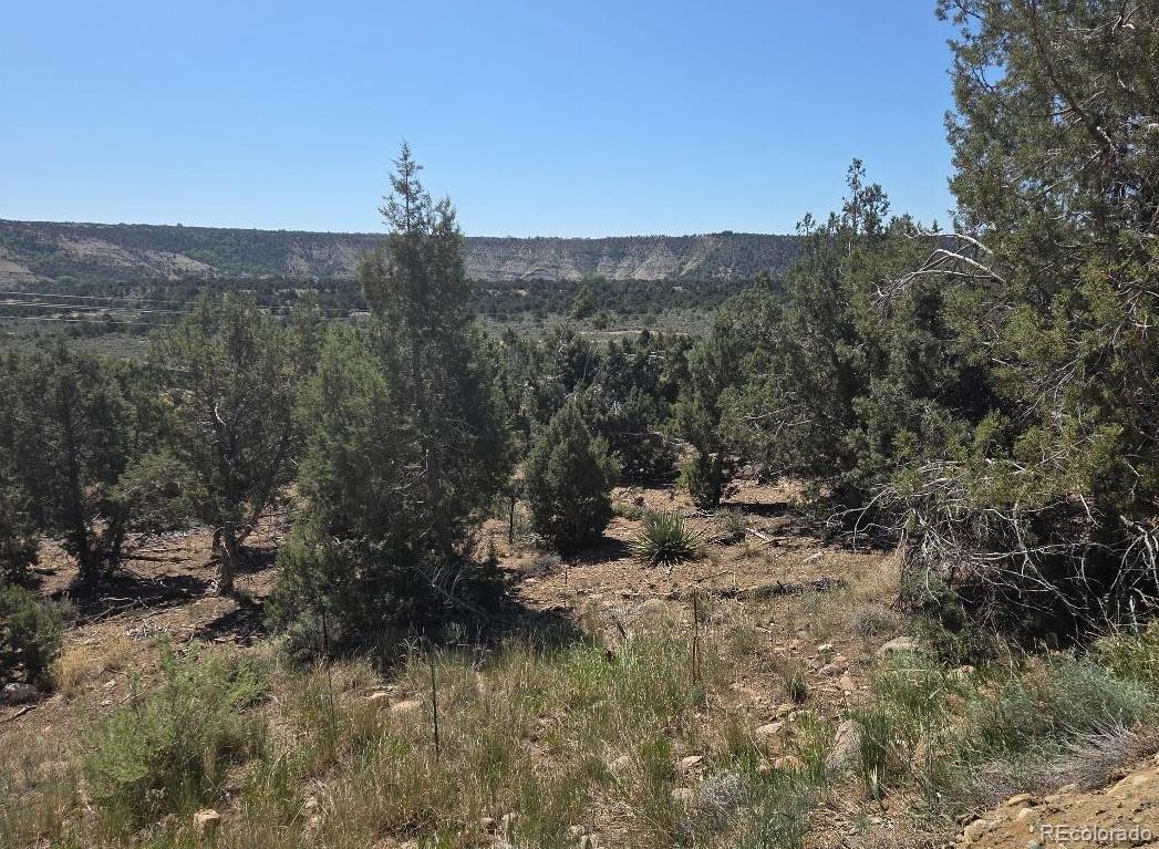 65 Air Park Drive Durango CO 81303