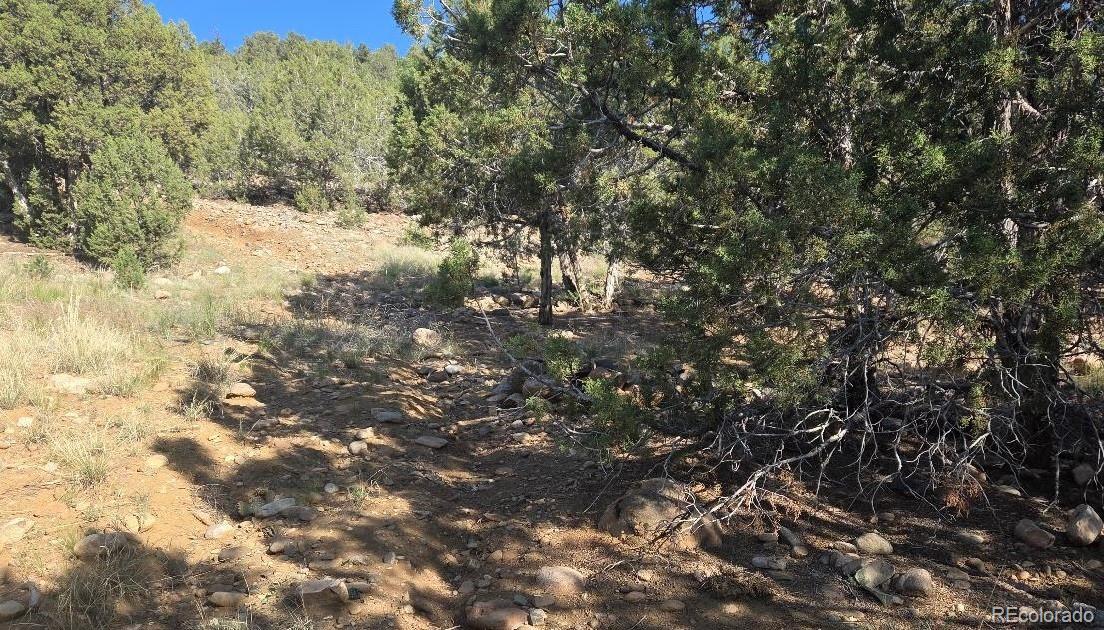 65 Air Park Drive Durango CO 81303