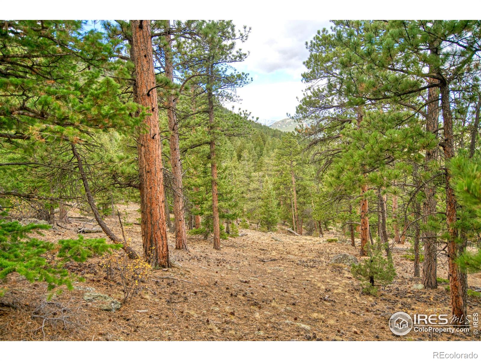 0 Windham Drive Estes Park CO 80517