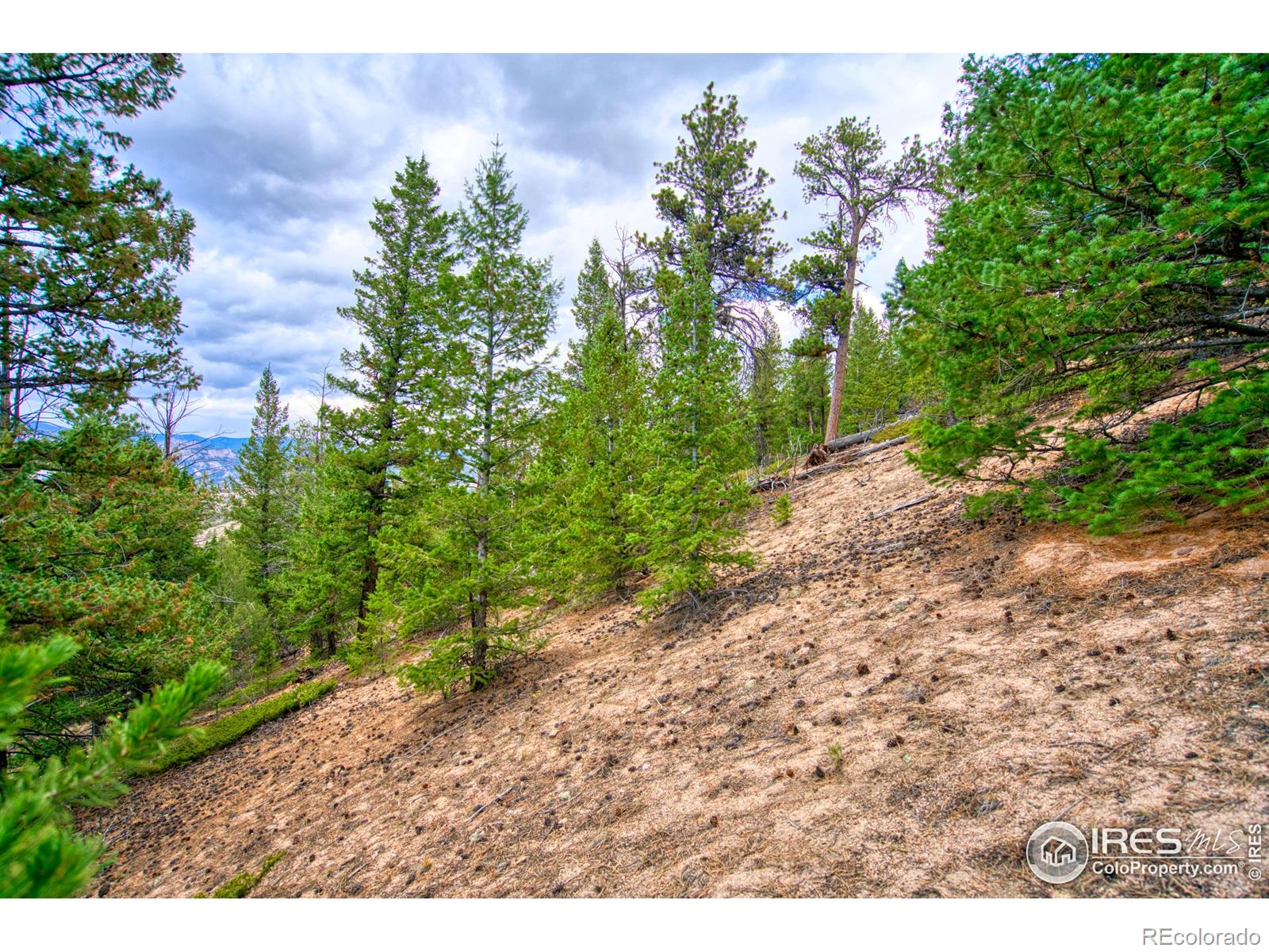0 Windham Drive Estes Park CO 80517
