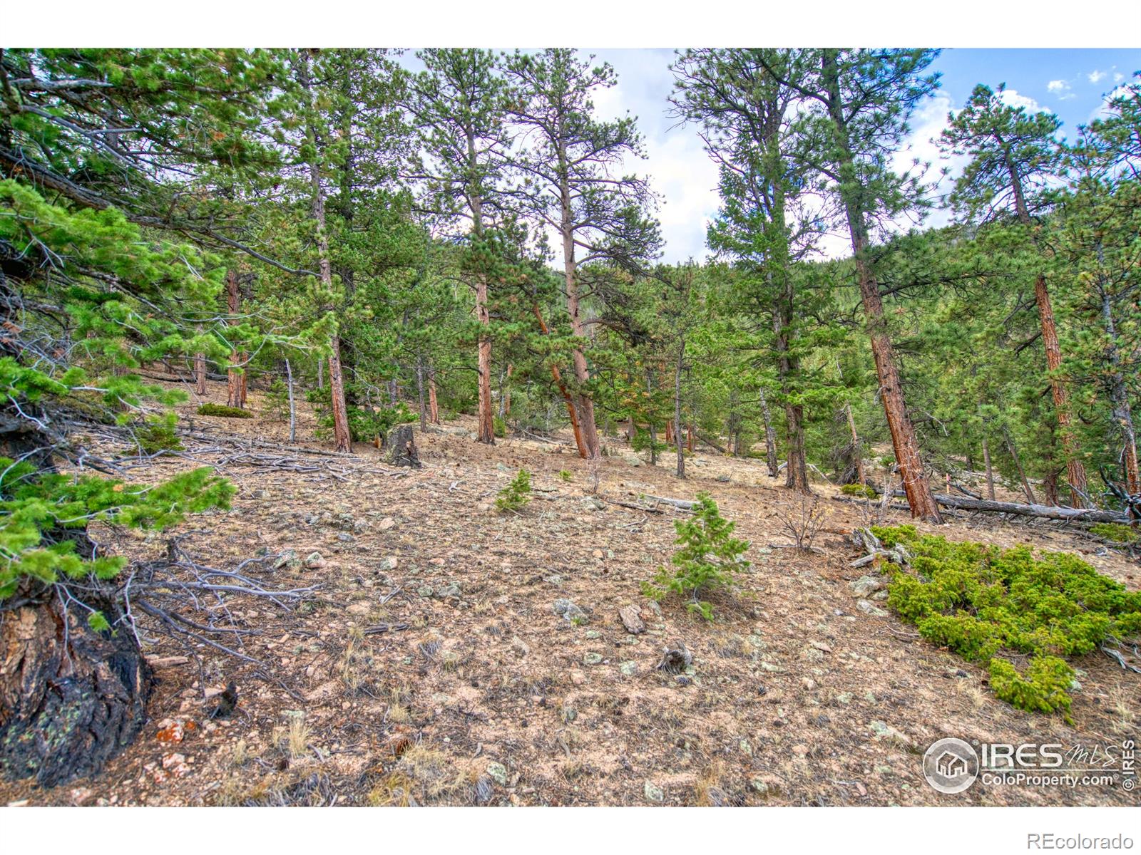 0 Windham Drive Estes Park CO 80517