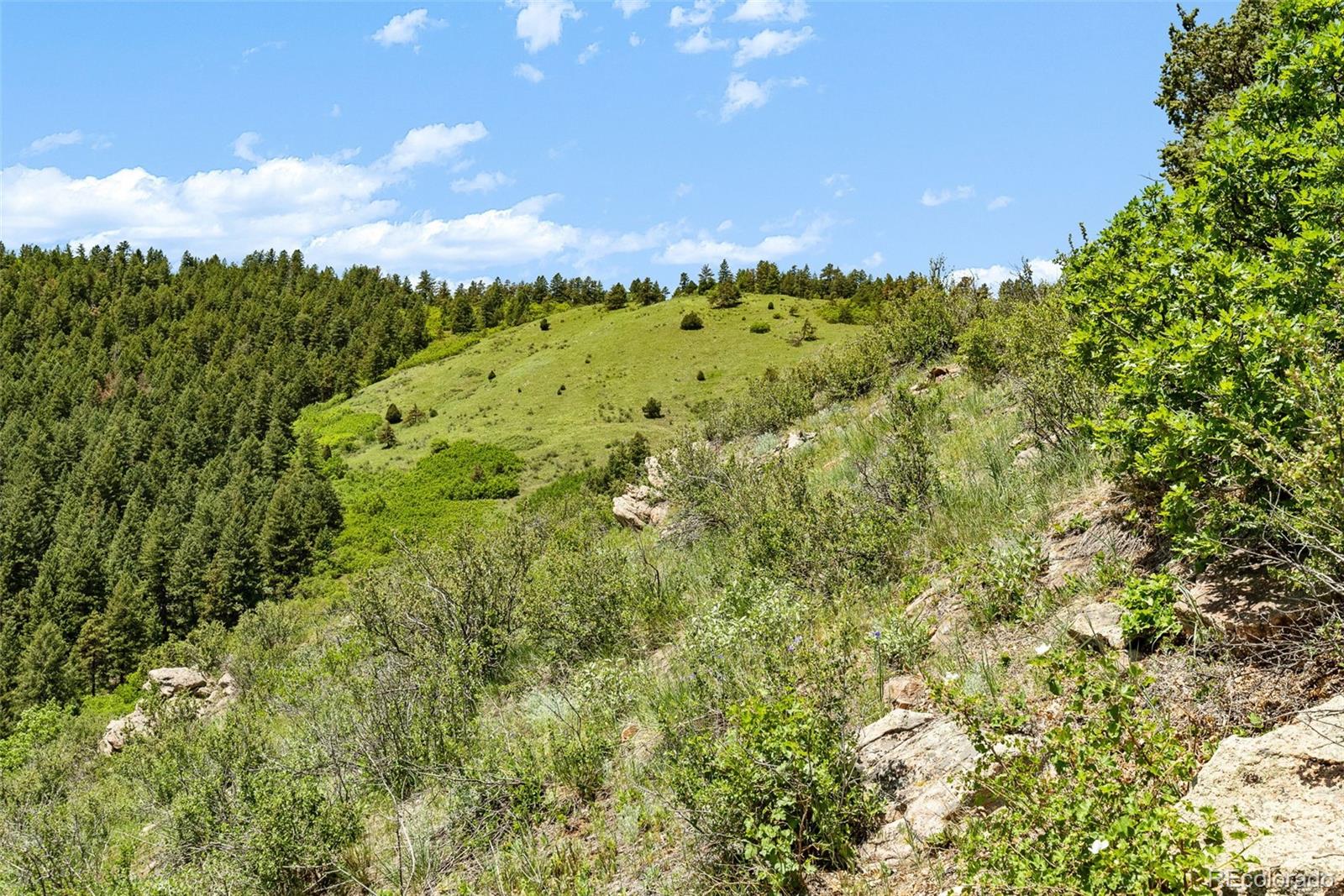 8529 S Deer Creek Canyon Road Morrison CO 80127