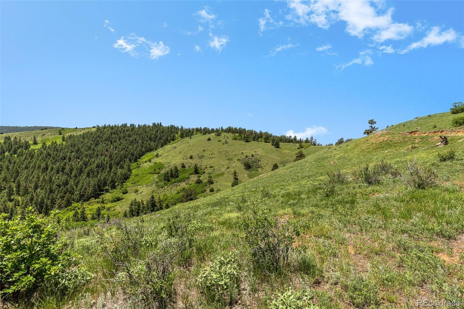 8529 S Deer Creek Canyon Road Morrison CO 80127