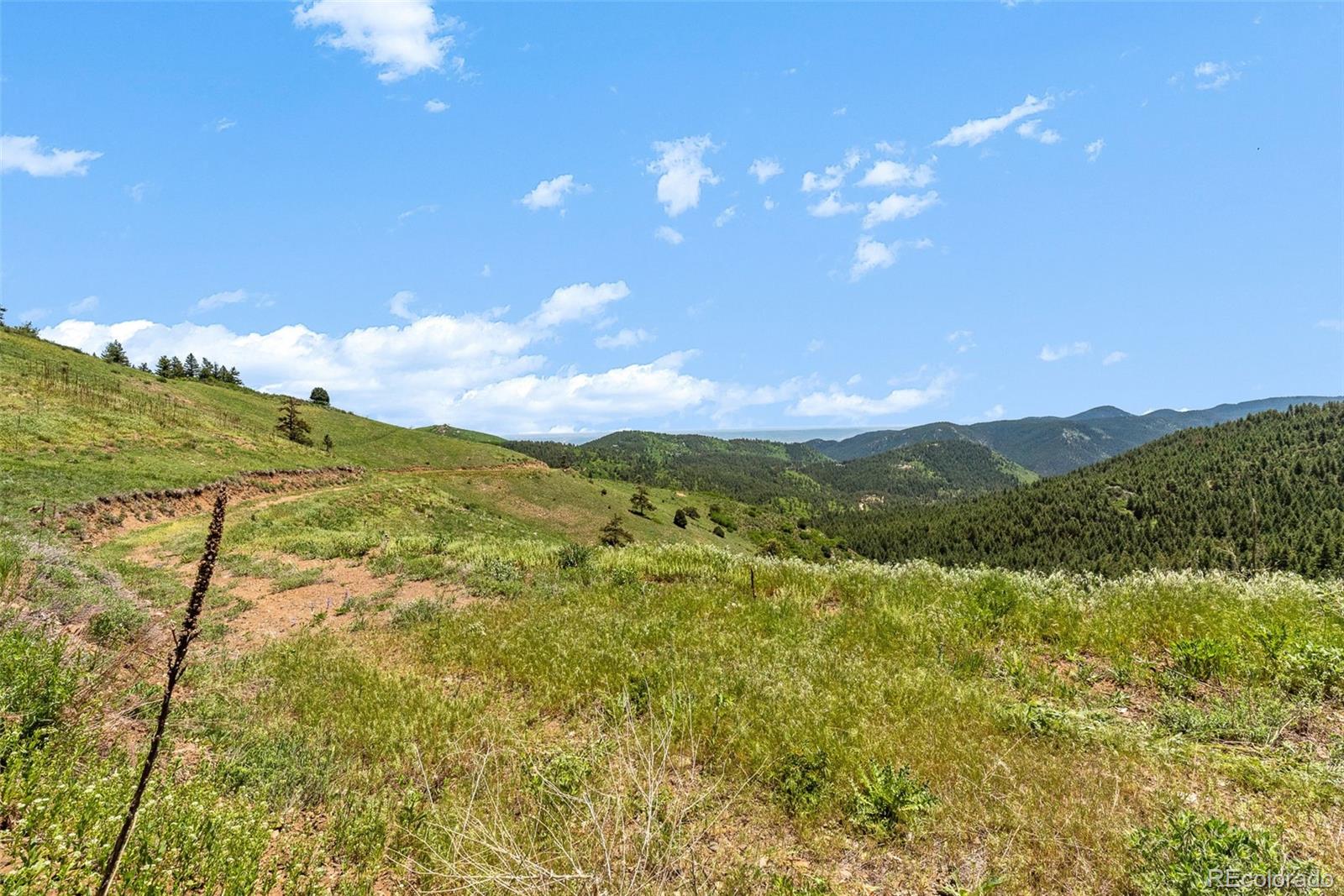 8529 S Deer Creek Canyon Road Morrison CO 80127