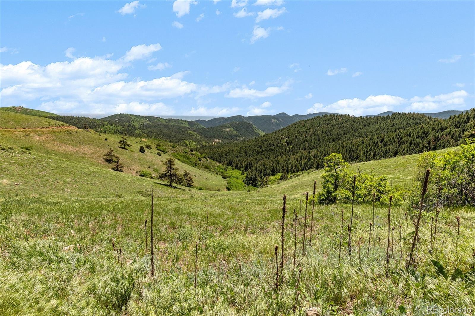 8529 S Deer Creek Canyon Road Morrison CO 80127