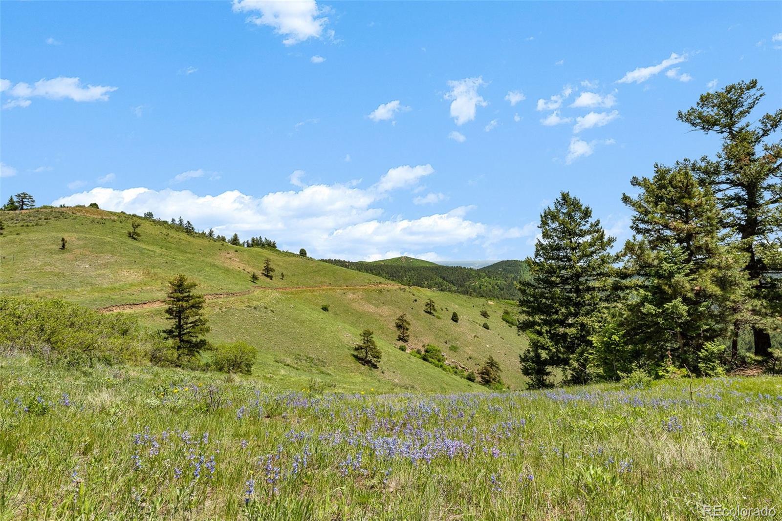 8529 S Deer Creek Canyon Road Morrison CO 80127
