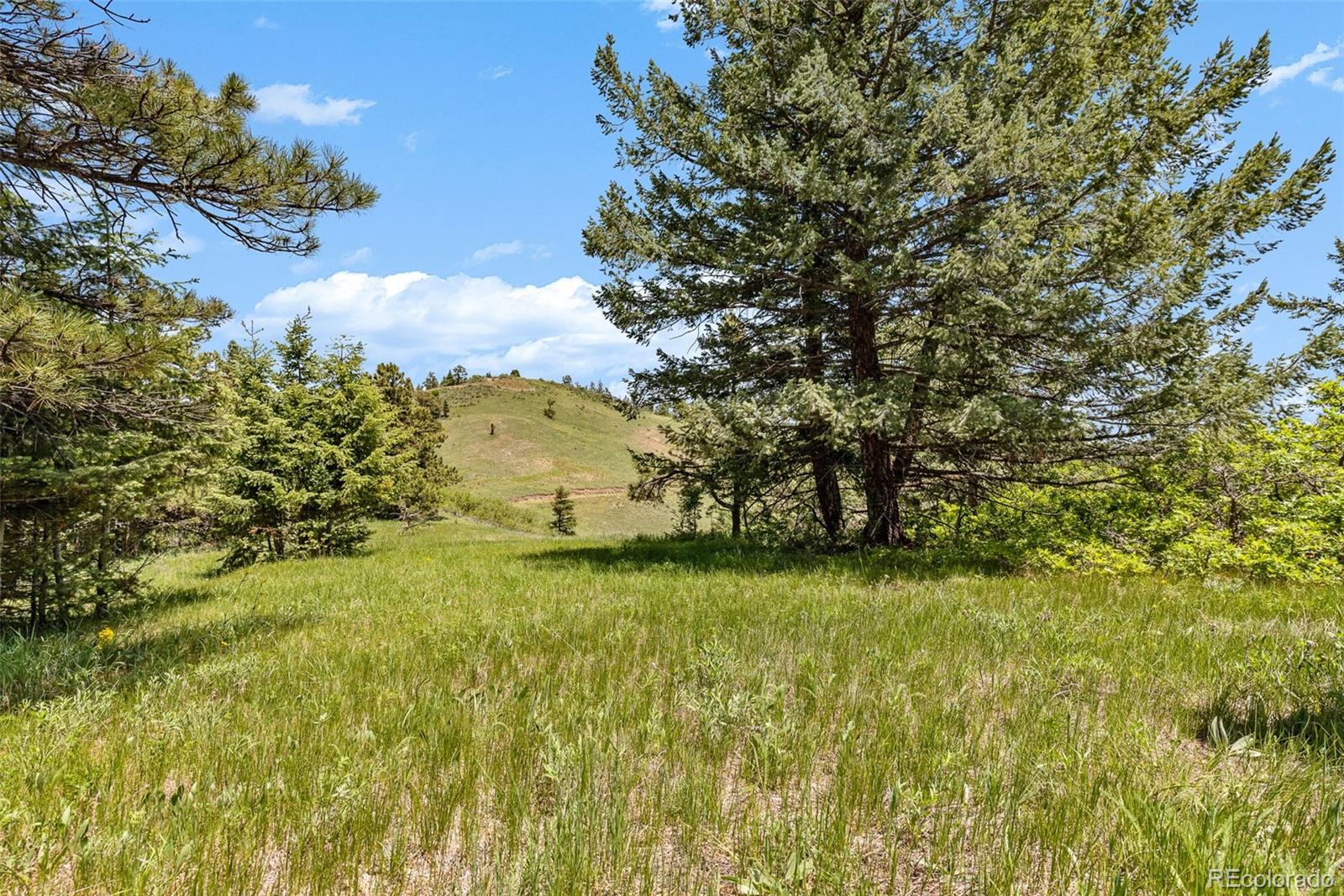 8529 S Deer Creek Canyon Road Morrison CO 80127